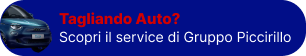 Scopri il servizio Gruppo Piccirillo